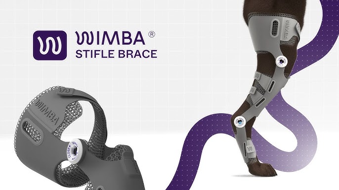 Wimba stifle brace for dogs with mobility issues